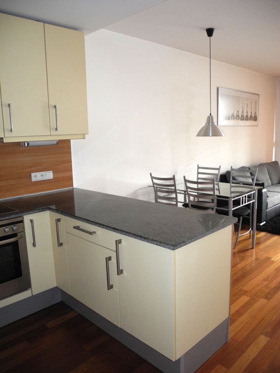 1 bedroom with open-plan kitchen flat to rent, 69 m², Paříkova, Prague, Prague 1 bedroom with open-plan kitchen flat to rent, 69 m², Paříkova, Prague, Prague