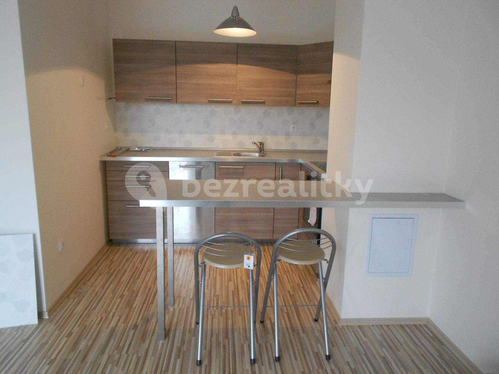 1 bedroom with open-plan kitchen flat to rent, 65 m², Pod Hrází, Český Krumlov, Jihočeský Region
