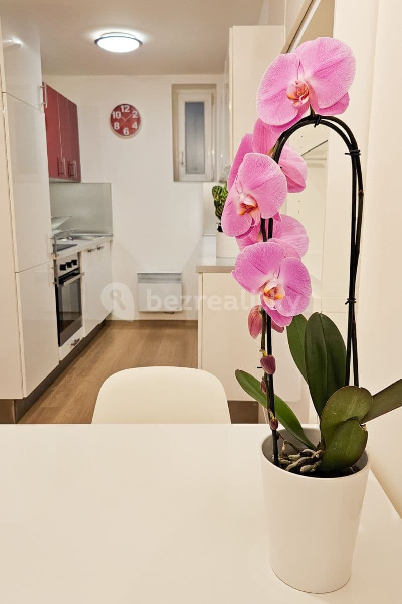 2 bedroom flat to rent, 65 m², Šimáčkova, Prague, Prague 2 bedroom flat to rent, 65 m², Šimáčkova, Prague, Prague