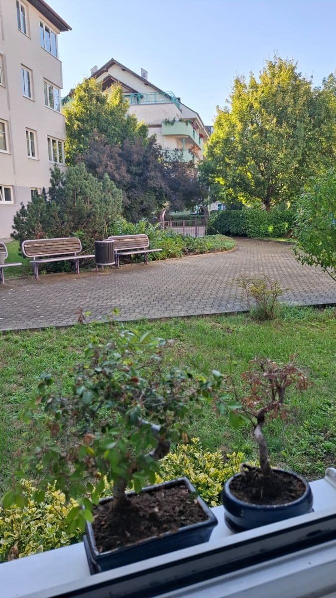 1 bedroom with open-plan kitchen flat to rent, 42 m², K Václavce, Prague, Prague 1 bedroom with open-plan kitchen flat to rent, 42 m², K Václavce, Prague, Prague