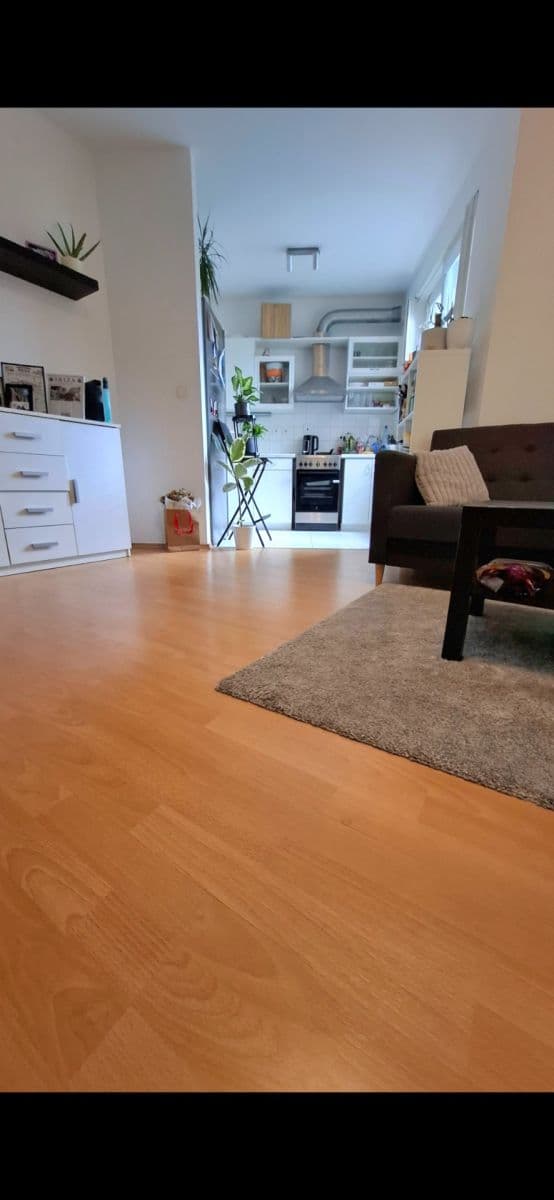 1 bedroom with open-plan kitchen flat to rent, 42 m², K Václavce, Prague, Prague 1 bedroom with open-plan kitchen flat to rent, 42 m², K Václavce, Prague, Prague