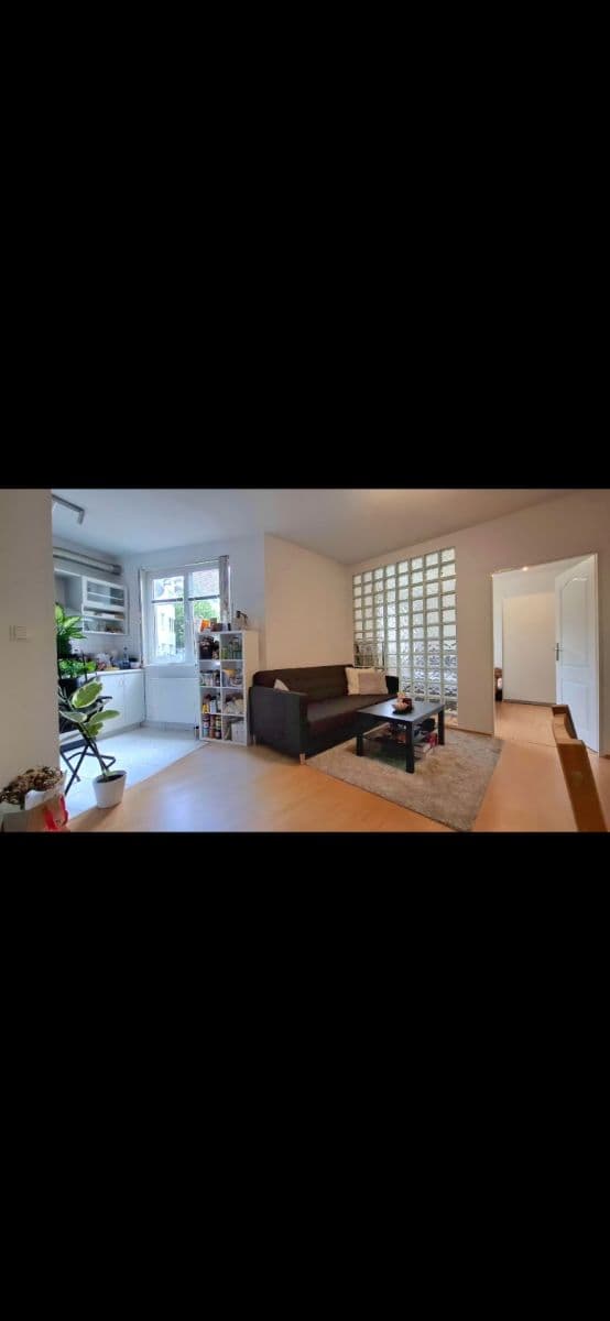 1 bedroom with open-plan kitchen flat to rent, 42 m², K Václavce, Prague, Prague 1 bedroom with open-plan kitchen flat to rent, 42 m², K Václavce, Prague, Prague