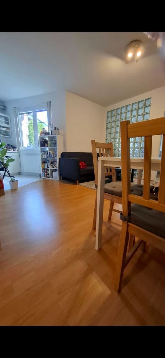 1 bedroom with open-plan kitchen flat to rent, 42 m², K Václavce, Prague, Prague 1 bedroom with open-plan kitchen flat to rent, 42 m², K Václavce, Prague, Prague