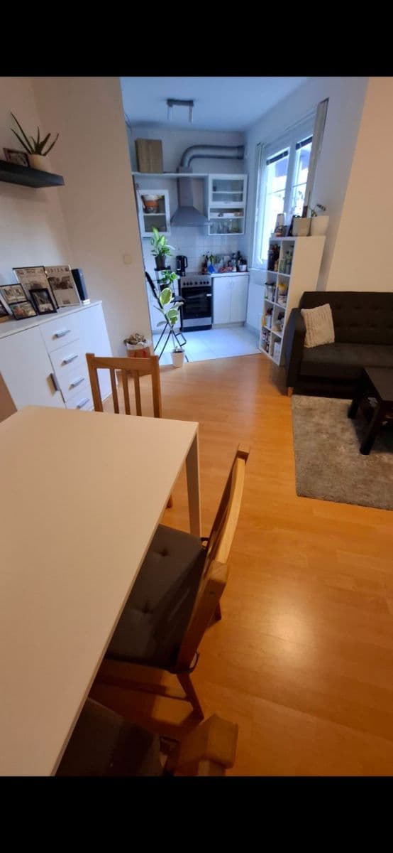 1 bedroom with open-plan kitchen flat to rent, 42 m², K Václavce, Prague, Prague 1 bedroom with open-plan kitchen flat to rent, 42 m², K Václavce, Prague, Prague