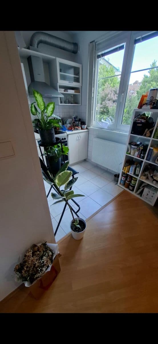 1 bedroom with open-plan kitchen flat to rent, 42 m², K Václavce, Prague, Prague 1 bedroom with open-plan kitchen flat to rent, 42 m², K Václavce, Prague, Prague