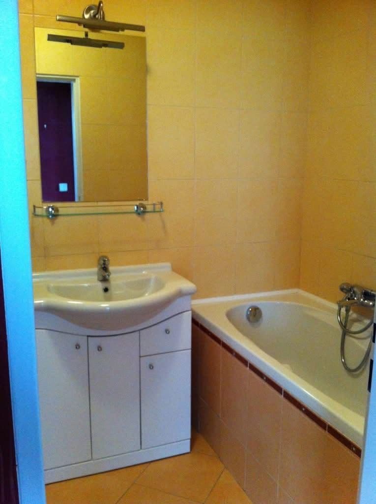 1 bedroom with open-plan kitchen flat to rent, 41 m², Novobohdalecká, Prague, Prague 1 bedroom with open-plan kitchen flat to rent, 41 m², Novobohdalecká, Prague, Prague