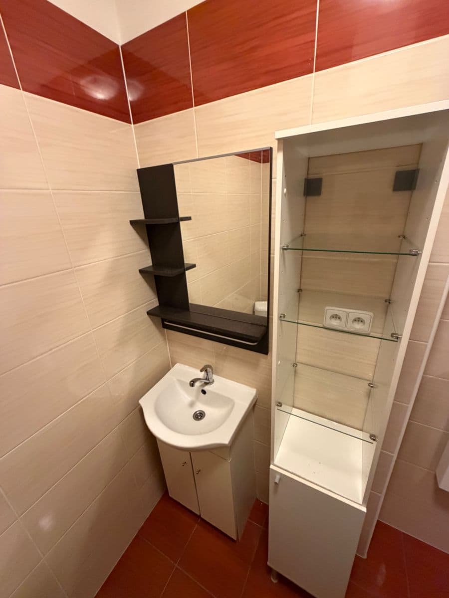 Small studio flat to rent, 24 m², Tišnovská, Brno, Jihomoravský Region Small studio flat to rent, 24 m², Tišnovská, Brno, Jihomoravský Region