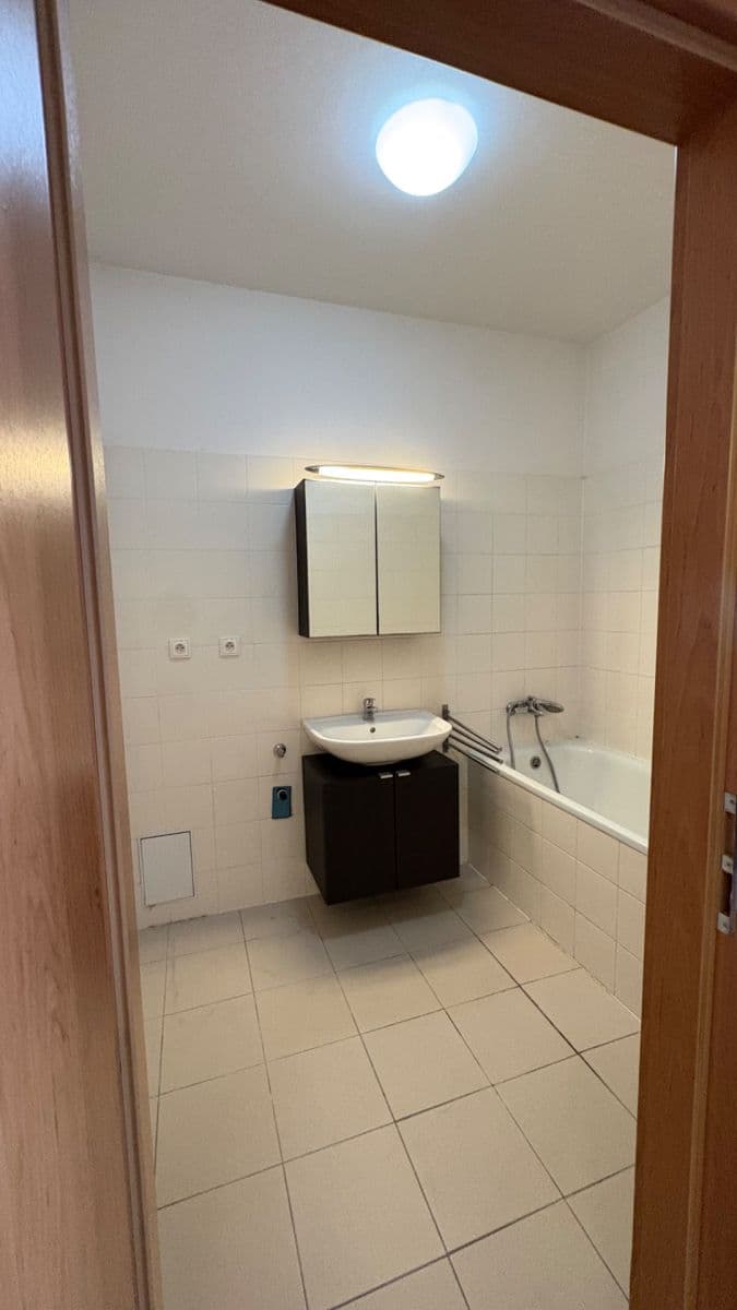 1 bedroom with open-plan kitchen flat to rent, 54 m², Na Slatince, Prague, Prague 1 bedroom with open-plan kitchen flat to rent, 54 m², Na Slatince, Prague, Prague