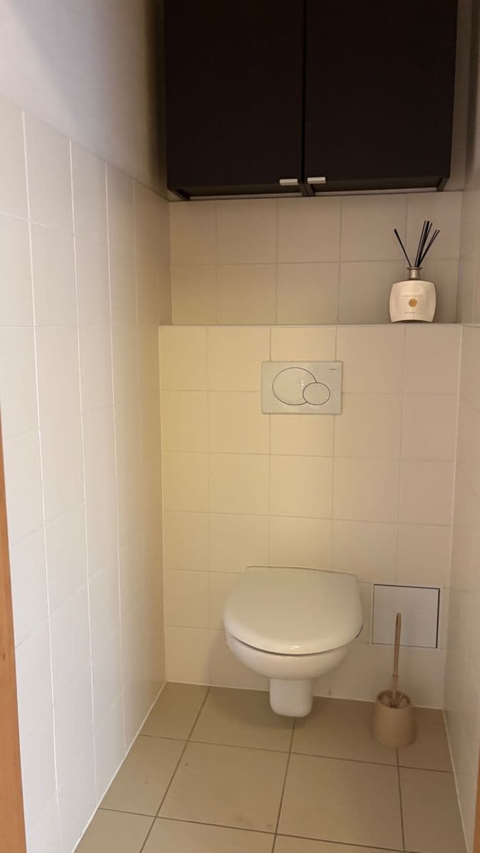 1 bedroom with open-plan kitchen flat to rent, 54 m², Na Slatince, Prague, Prague 1 bedroom with open-plan kitchen flat to rent, 54 m², Na Slatince, Prague, Prague