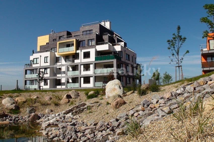 Studio flat to rent, 31 m², Svitákova, Prague, Prague Studio flat to rent, 31 m², Svitákova, Prague, Prague