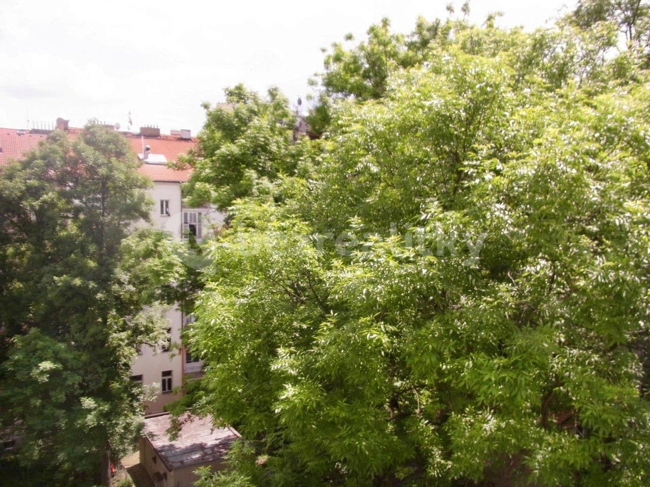 1 bedroom flat to rent, 40 m², U vodárny, Prague, Prague 1 bedroom flat to rent, 40 m², U vodárny, Prague, Prague