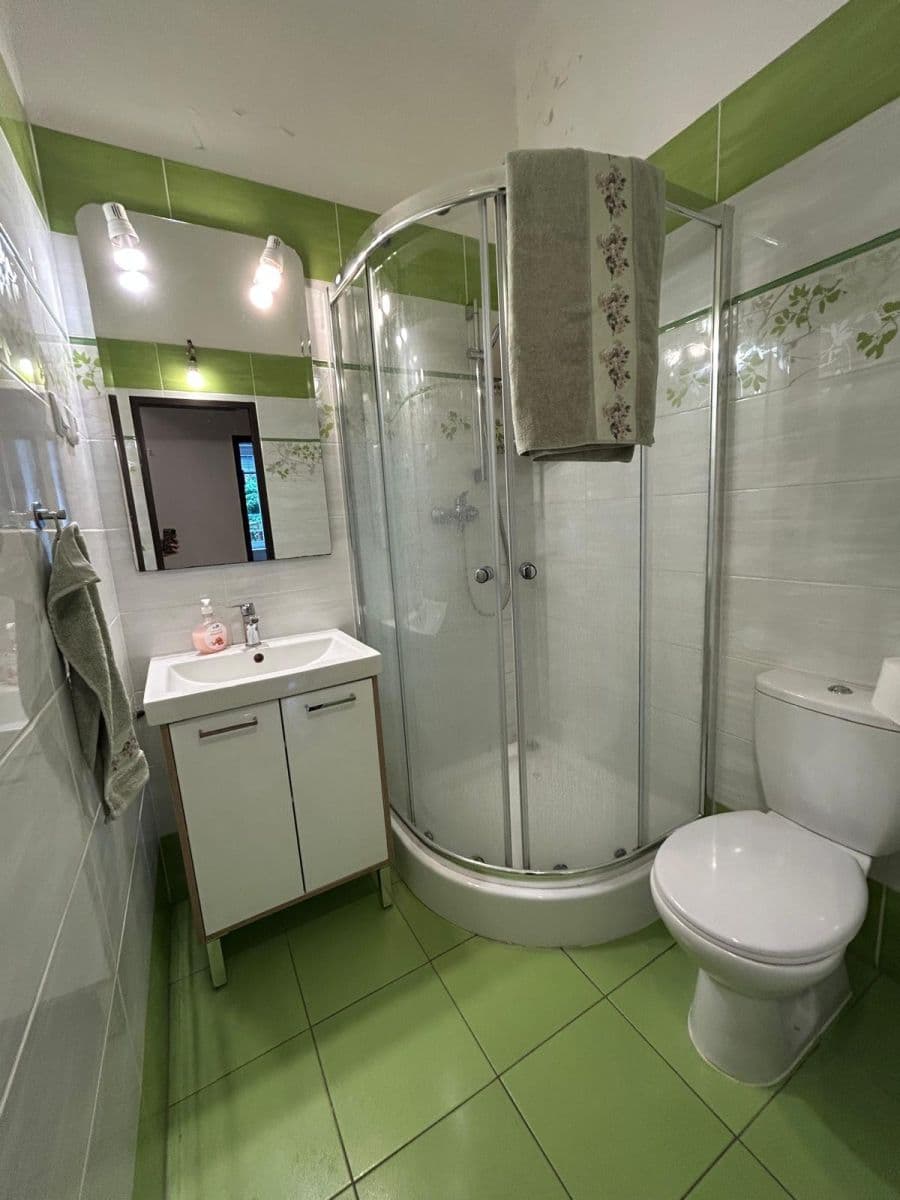 1 bedroom with open-plan kitchen flat to rent, 47 m², Doktora Zikmunda Wintra, Prague, Prague 1 bedroom with open-plan kitchen flat to rent, 47 m², Doktora Zikmunda Wintra, Prague, Prague