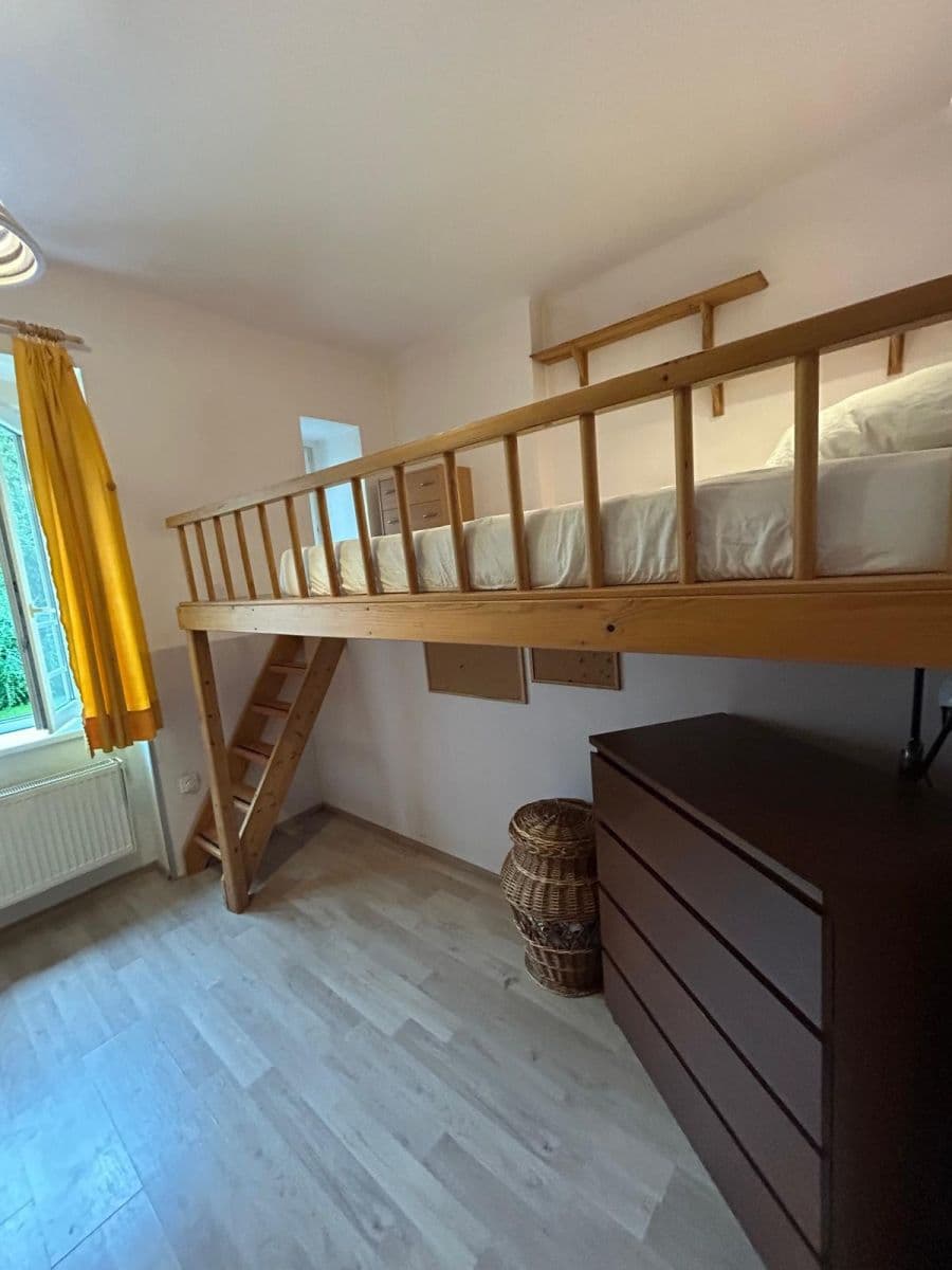 1 bedroom with open-plan kitchen flat to rent, 47 m², Doktora Zikmunda Wintra, Prague, Prague 1 bedroom with open-plan kitchen flat to rent, 47 m², Doktora Zikmunda Wintra, Prague, Prague