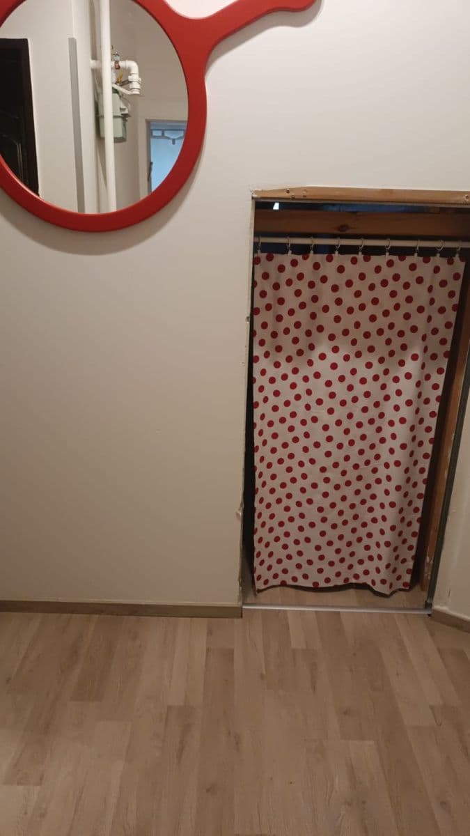 1 bedroom with open-plan kitchen flat to rent, 47 m², Doktora Zikmunda Wintra, Prague, Prague 1 bedroom with open-plan kitchen flat to rent, 47 m², Doktora Zikmunda Wintra, Prague, Prague