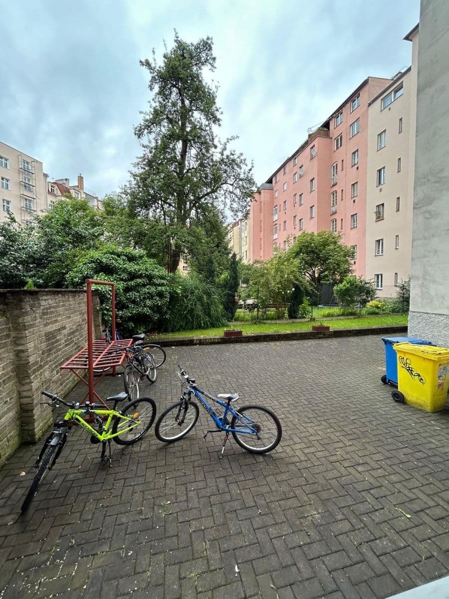 1 bedroom with open-plan kitchen flat to rent, 47 m², Doktora Zikmunda Wintra, Prague, Prague 1 bedroom with open-plan kitchen flat to rent, 47 m², Doktora Zikmunda Wintra, Prague, Prague