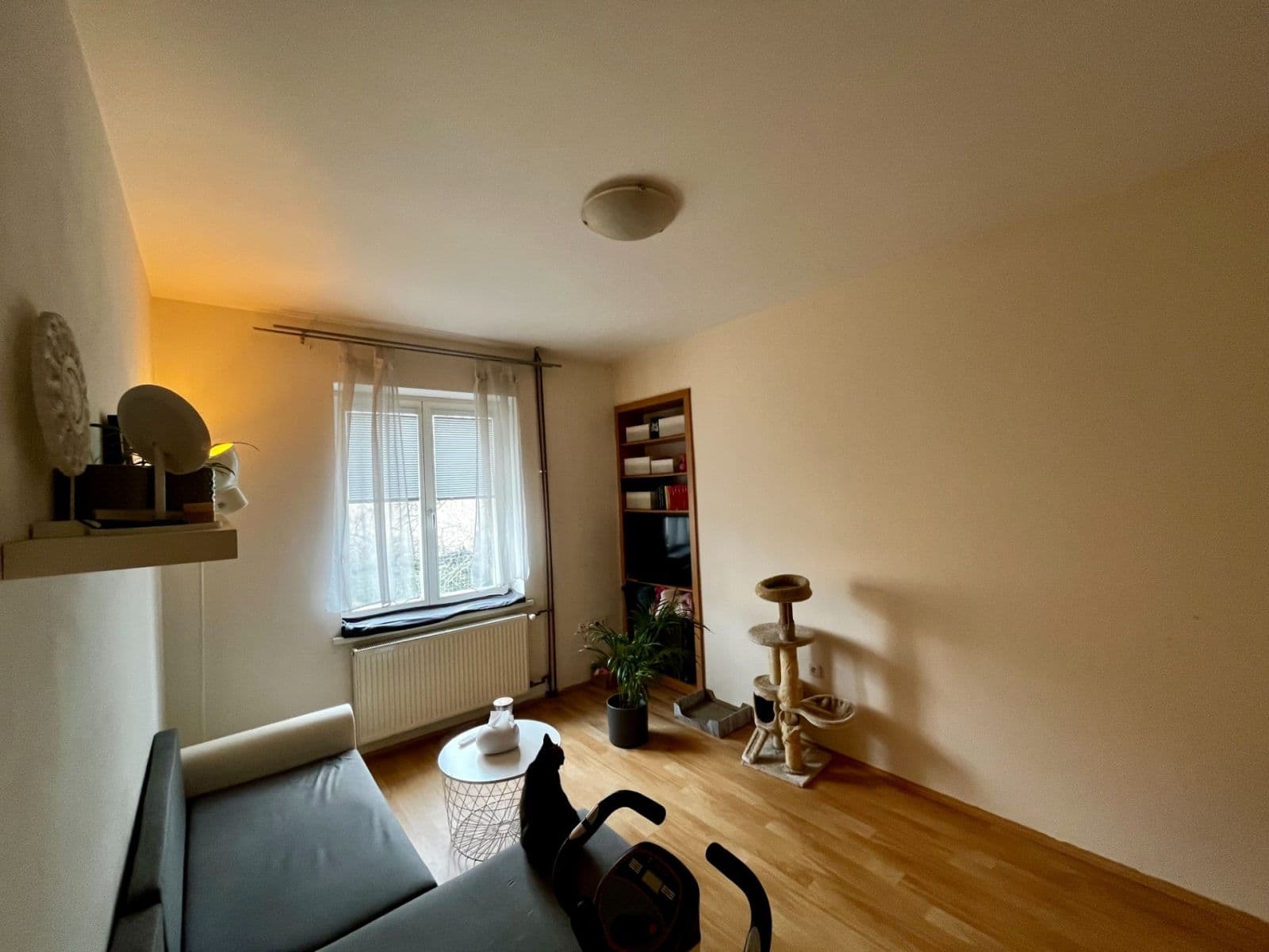 Studio flat to rent, 22 m², Sakařova, Pardubice, Pardubický Region Studio flat to rent, 22 m², Sakařova, Pardubice, Pardubický Region