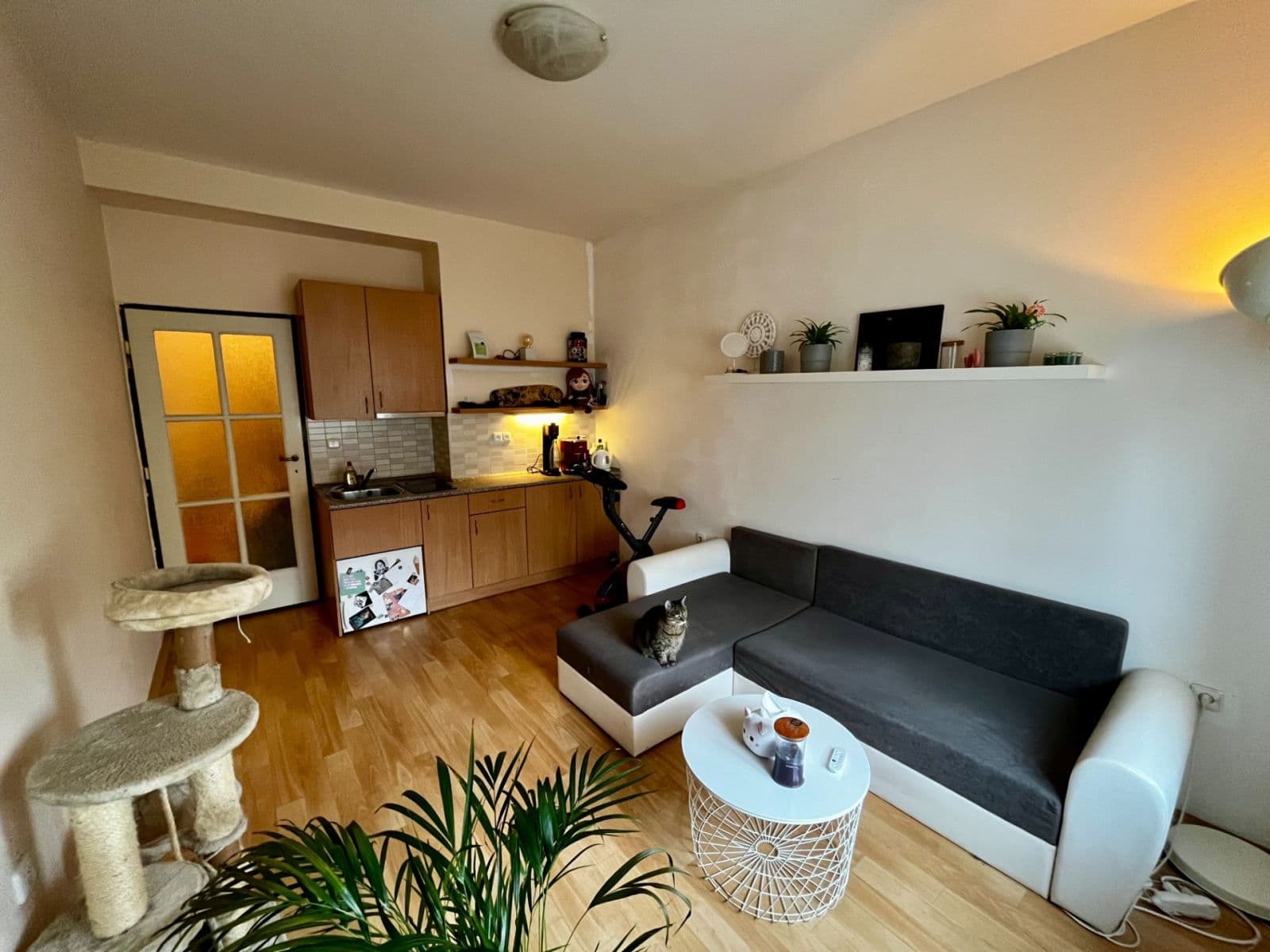 Studio flat to rent, 22 m², Sakařova, Pardubice, Pardubický Region Studio flat to rent, 22 m², Sakařova, Pardubice, Pardubický Region