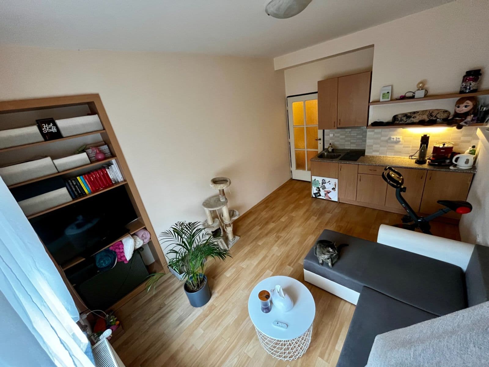 Studio flat to rent, 22 m², Sakařova, Pardubice, Pardubický Region Studio flat to rent, 22 m², Sakařova, Pardubice, Pardubický Region