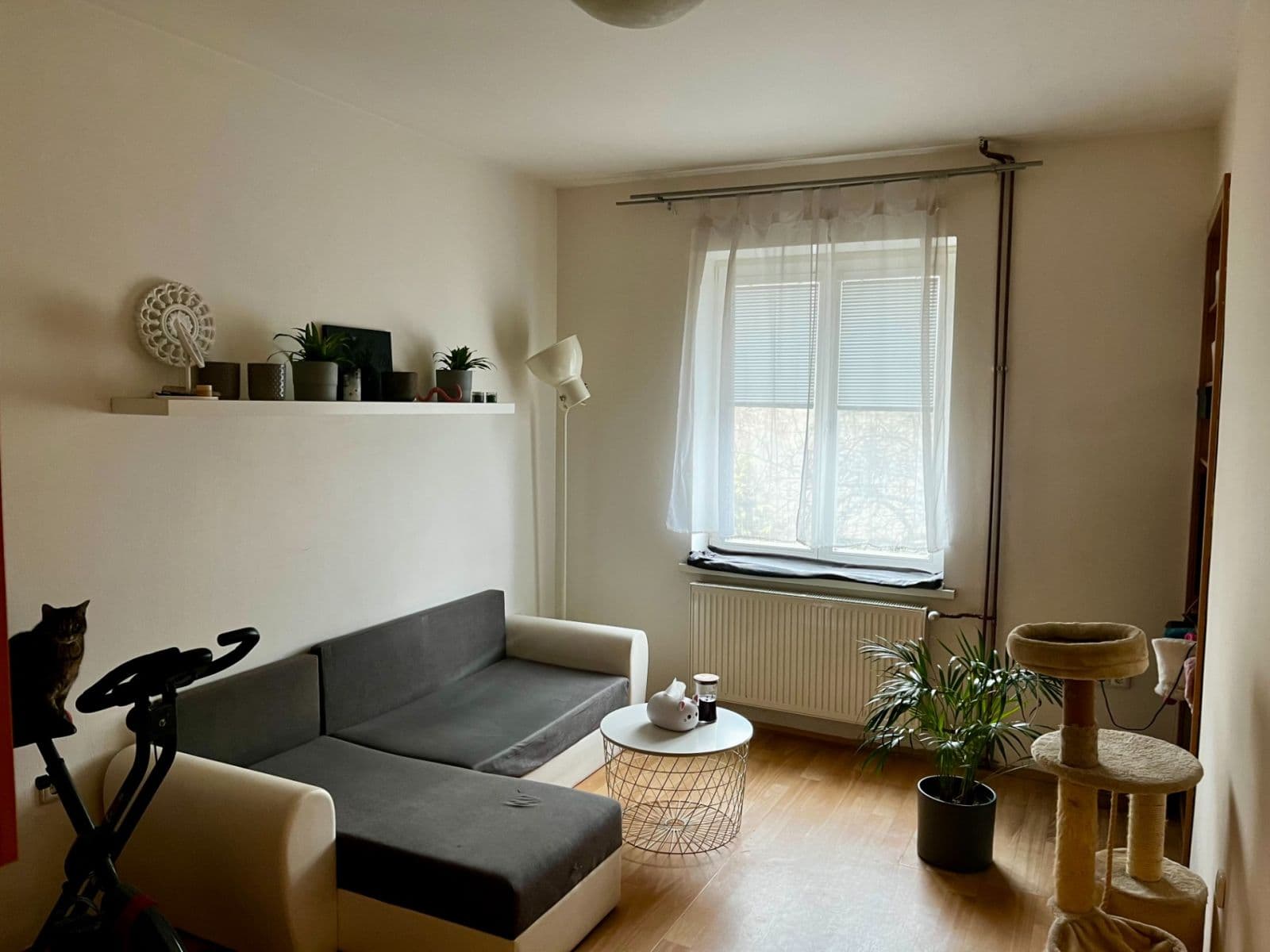 Studio flat to rent, 22 m², Sakařova, Pardubice, Pardubický Region Studio flat to rent, 22 m², Sakařova, Pardubice, Pardubický Region