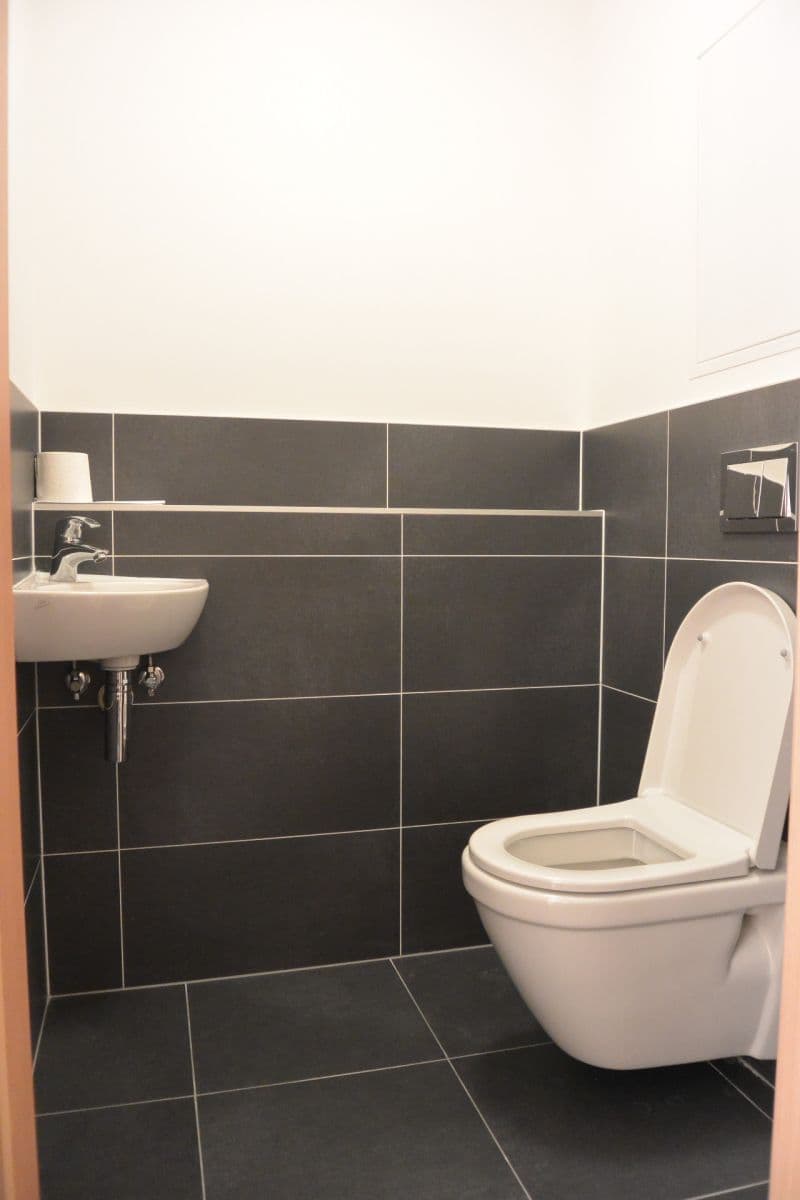 1 bedroom with open-plan kitchen flat to rent, 52 m², Kurta Konráda, Prague, Prague 1 bedroom with open-plan kitchen flat to rent, 52 m², Kurta Konráda, Prague, Prague