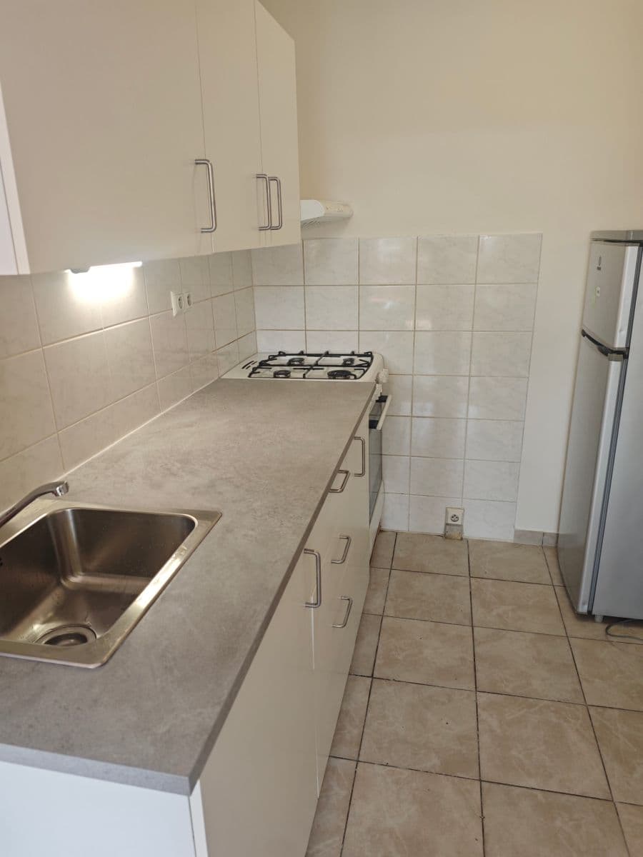 1 bedroom with open-plan kitchen flat to rent, 43 m², Podjavorinské, Prague, Prague 1 bedroom with open-plan kitchen flat to rent, 43 m², Podjavorinské, Prague, Prague