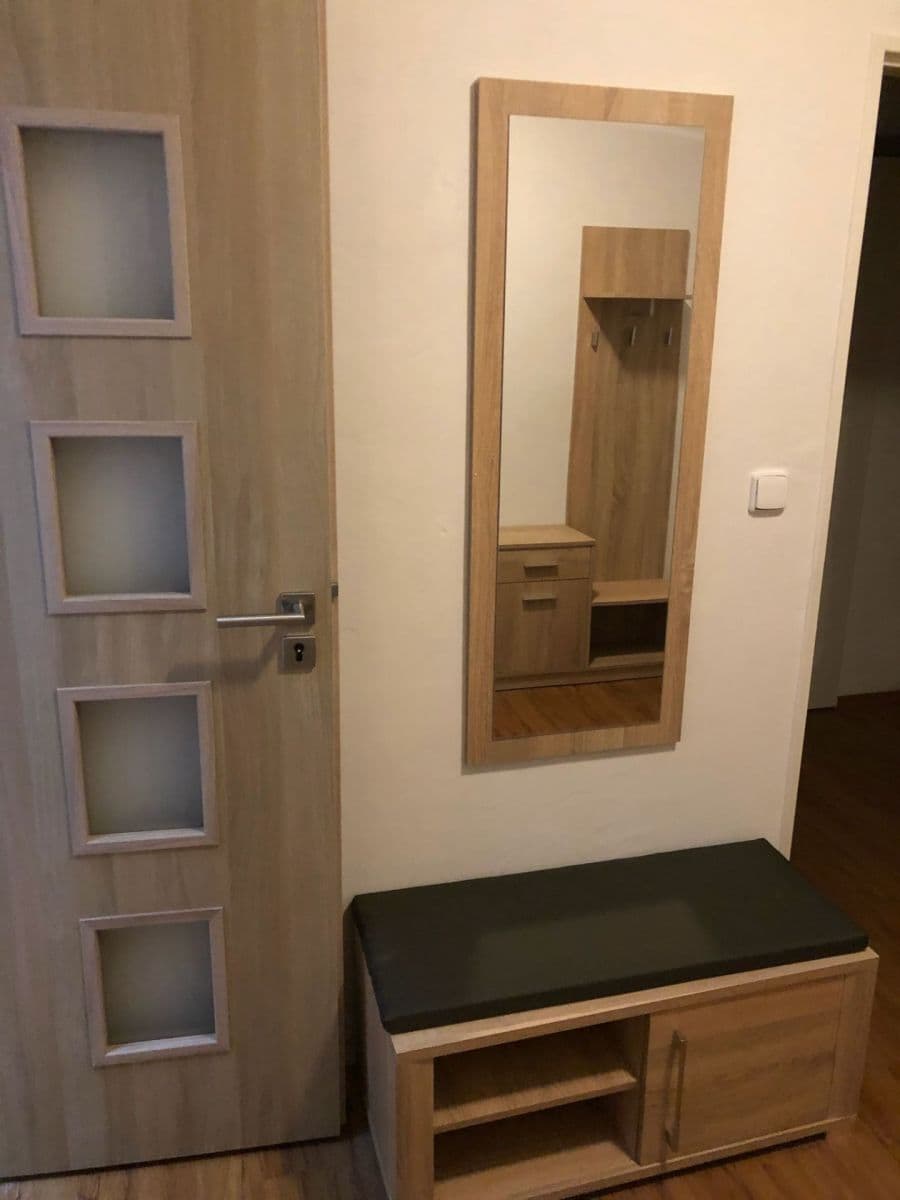 1 bedroom with open-plan kitchen flat to rent, 41 m², Makovského, Prague, Prague 1 bedroom with open-plan kitchen flat to rent, 41 m², Makovského, Prague, Prague