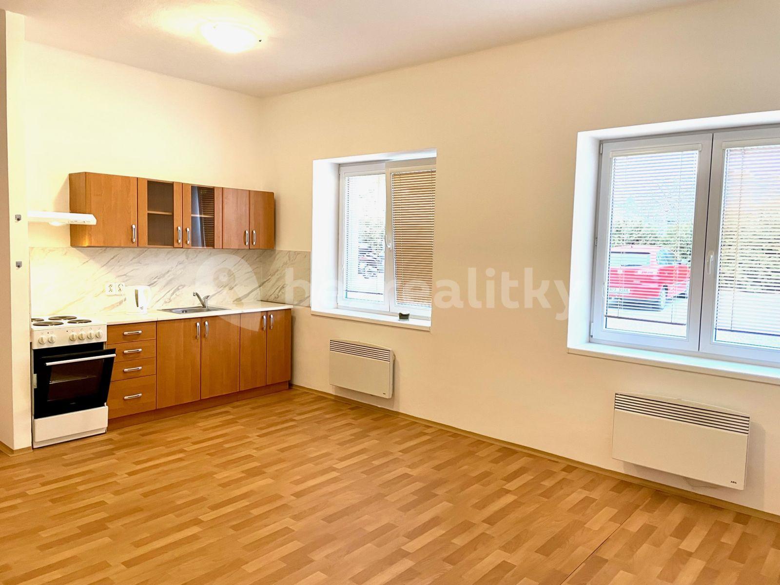 1 bedroom with open-plan kitchen flat to rent, 53 m², Hlinská, České Budějovice, Jihočeský Region