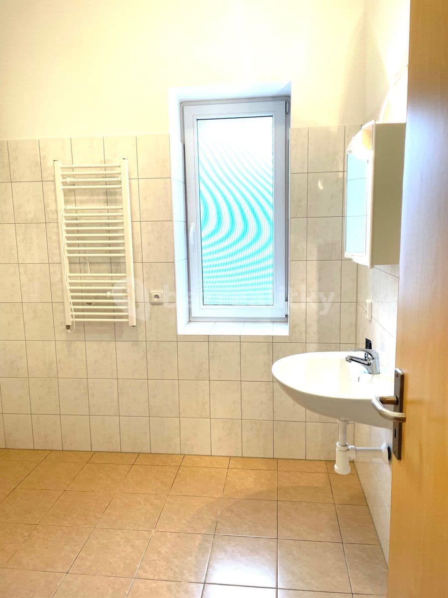 1 bedroom with open-plan kitchen flat to rent, 48 m², Hlinská, České Budějovice, Jihočeský Region 1 bedroom with open-plan kitchen flat to rent, 48 m², Hlinská, České Budějovice, Jihočeský Region