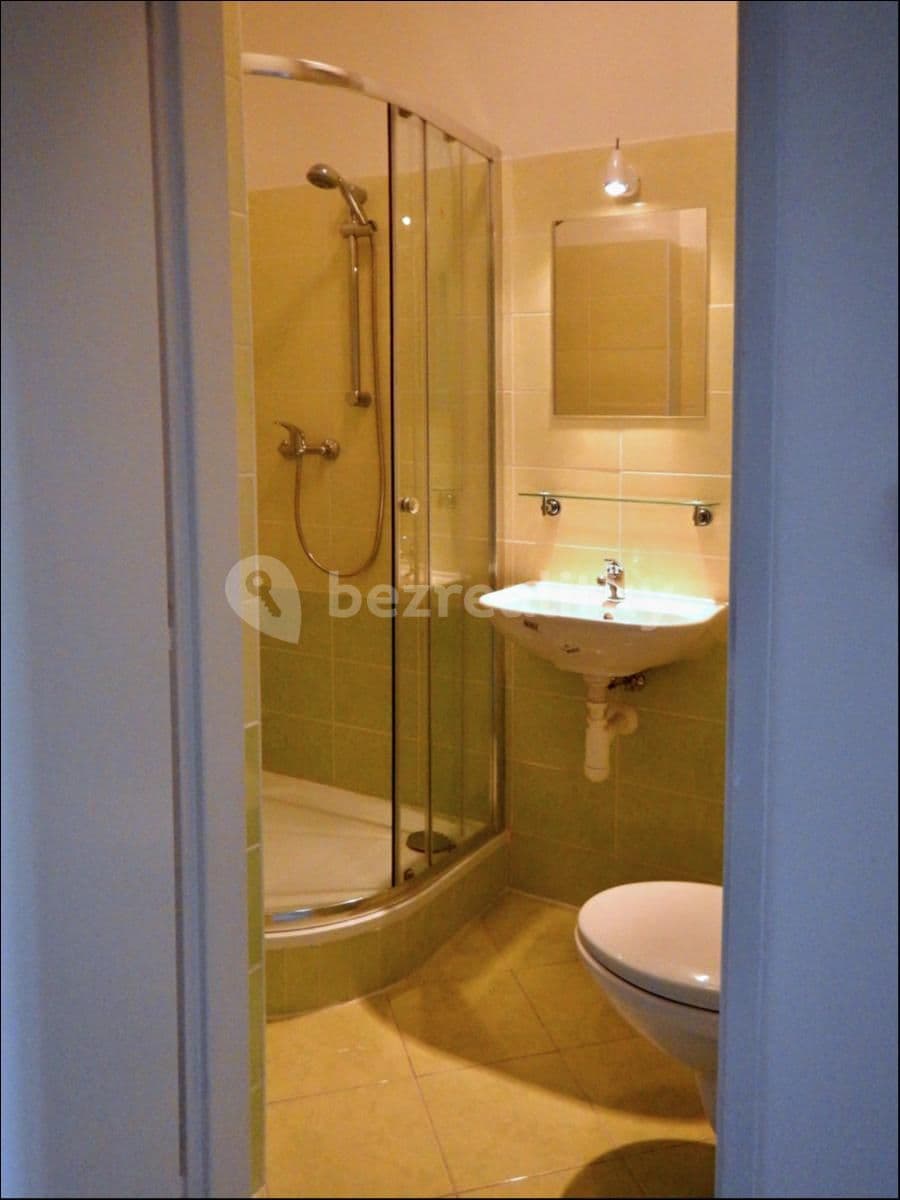 Small studio flat to rent, 22 m², Dělnická, Prague, Prague Small studio flat to rent, 22 m², Dělnická, Prague, Prague