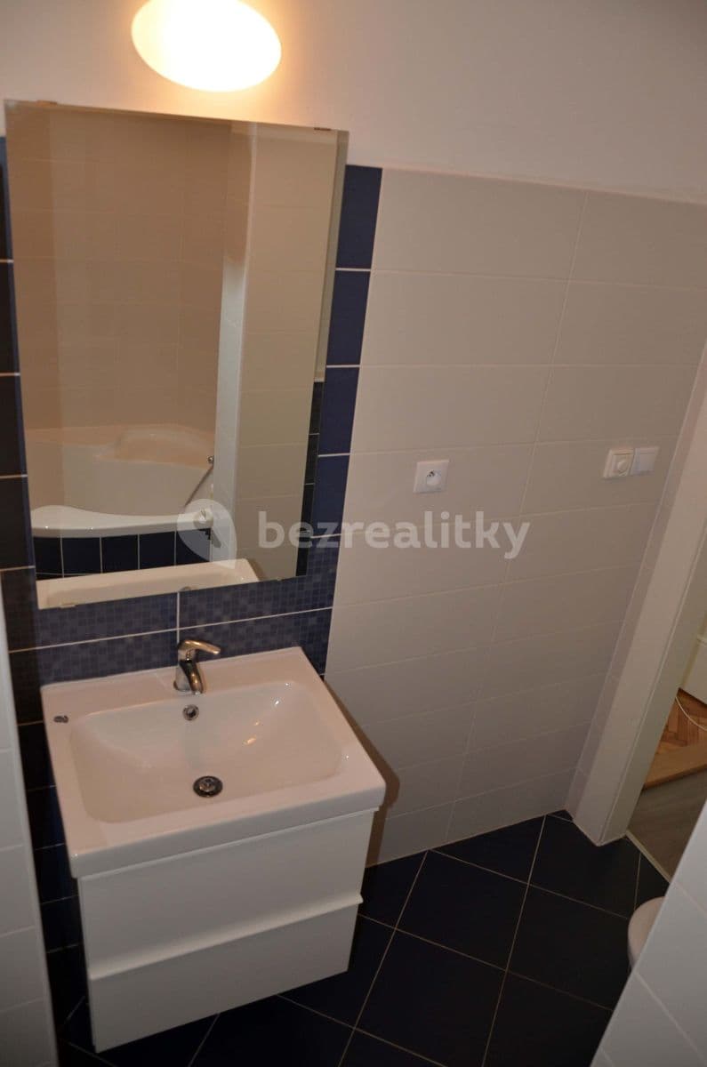 1 bedroom with open-plan kitchen flat to rent, 45 m², Na Louži, Prague, Prague 1 bedroom with open-plan kitchen flat to rent, 45 m², Na Louži, Prague, Prague