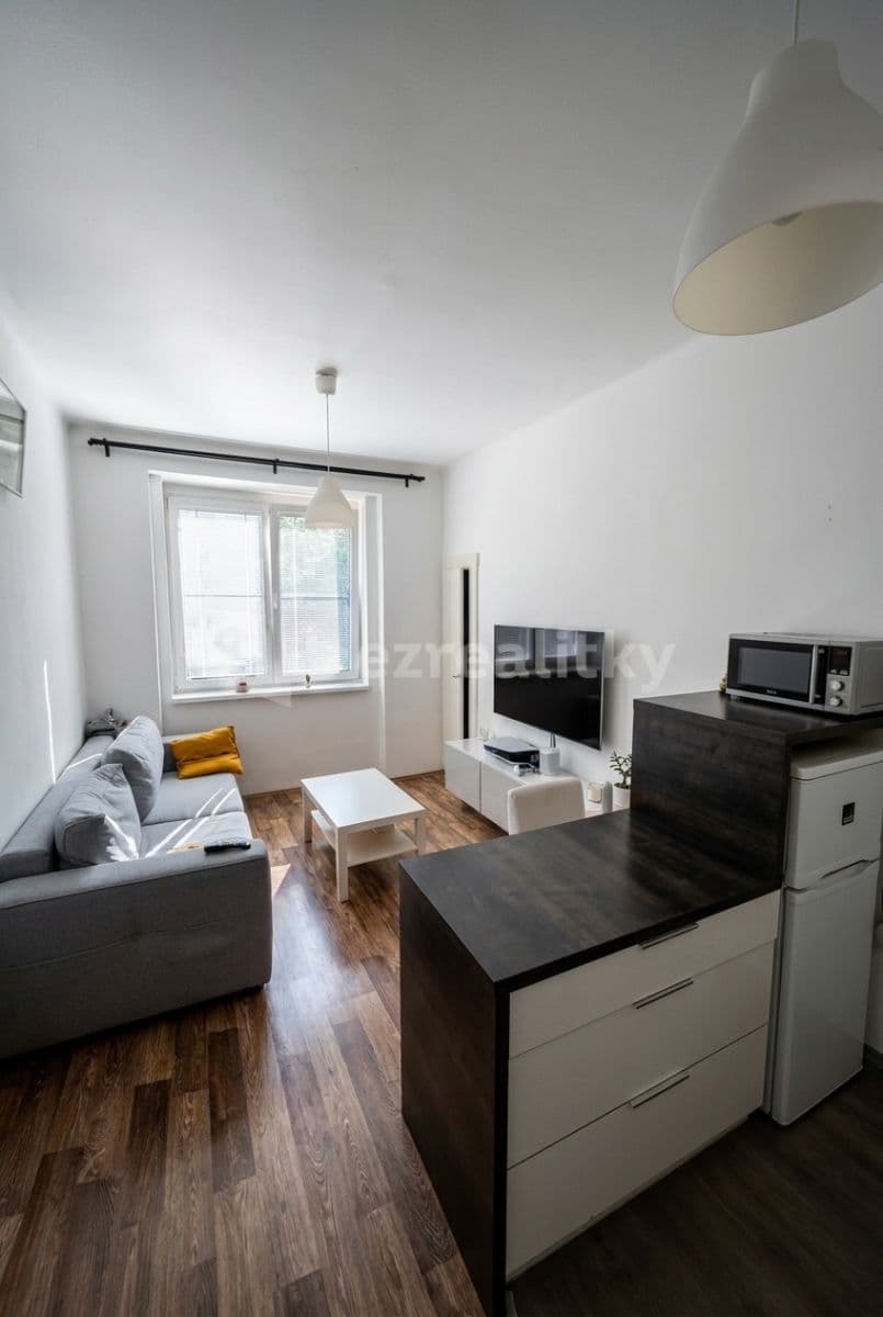 1 bedroom with open-plan kitchen flat to rent, 45 m², Na Louži, Prague, Prague 1 bedroom with open-plan kitchen flat to rent, 45 m², Na Louži, Prague, Prague