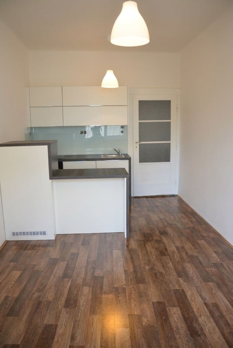 1 bedroom with open-plan kitchen flat to rent, 45 m², Na Louži, Prague, Prague 1 bedroom with open-plan kitchen flat to rent, 45 m², Na Louži, Prague, Prague