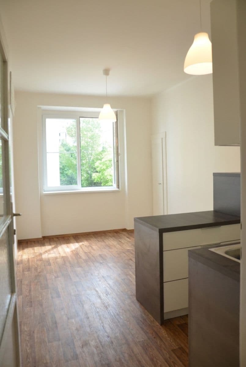 1 bedroom with open-plan kitchen flat to rent, 45 m², Na Louži, Prague, Prague 1 bedroom with open-plan kitchen flat to rent, 45 m², Na Louži, Prague, Prague