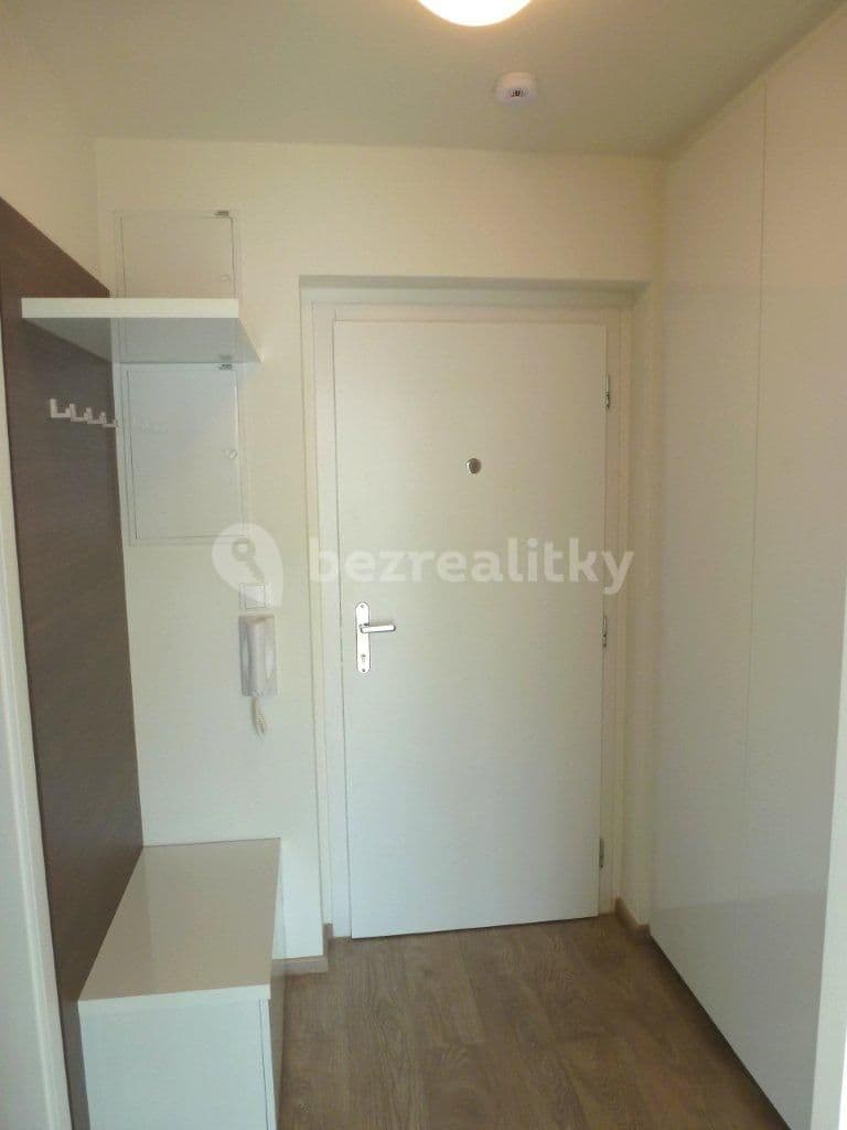 1 bedroom with open-plan kitchen flat to rent, 48 m², Slezská, Prague, Prague 1 bedroom with open-plan kitchen flat to rent, 48 m², Slezská, Prague, Prague