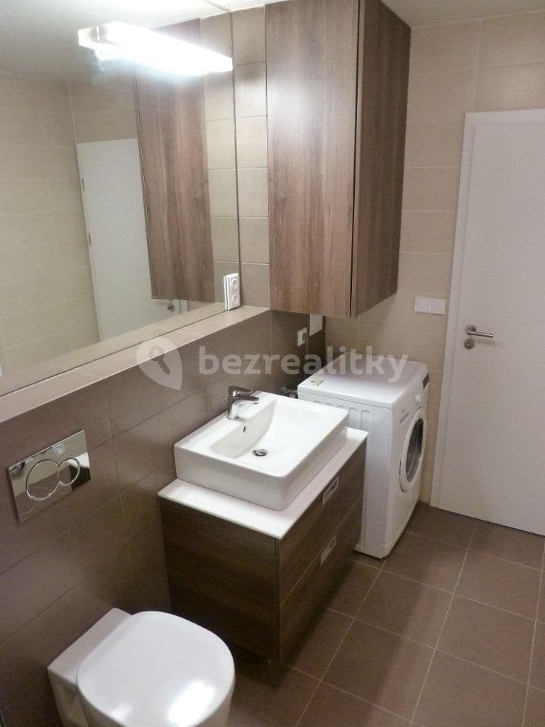 1 bedroom with open-plan kitchen flat to rent, 48 m², Slezská, Prague, Prague 1 bedroom with open-plan kitchen flat to rent, 48 m², Slezská, Prague, Prague