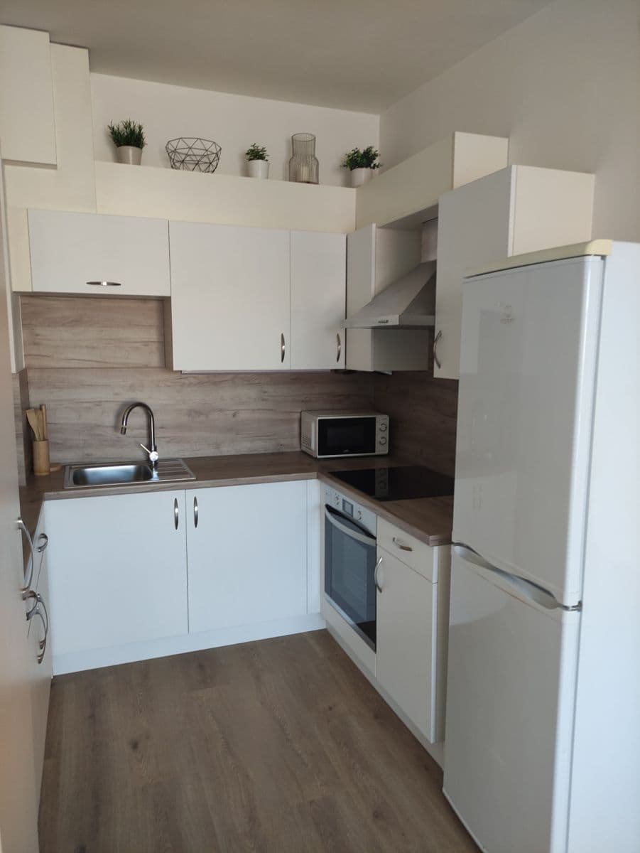 1 bedroom with open-plan kitchen flat to rent, 50 m², Za kostelem, Brno, Jihomoravský Region 1 bedroom with open-plan kitchen flat to rent, 50 m², Za kostelem, Brno, Jihomoravský Region