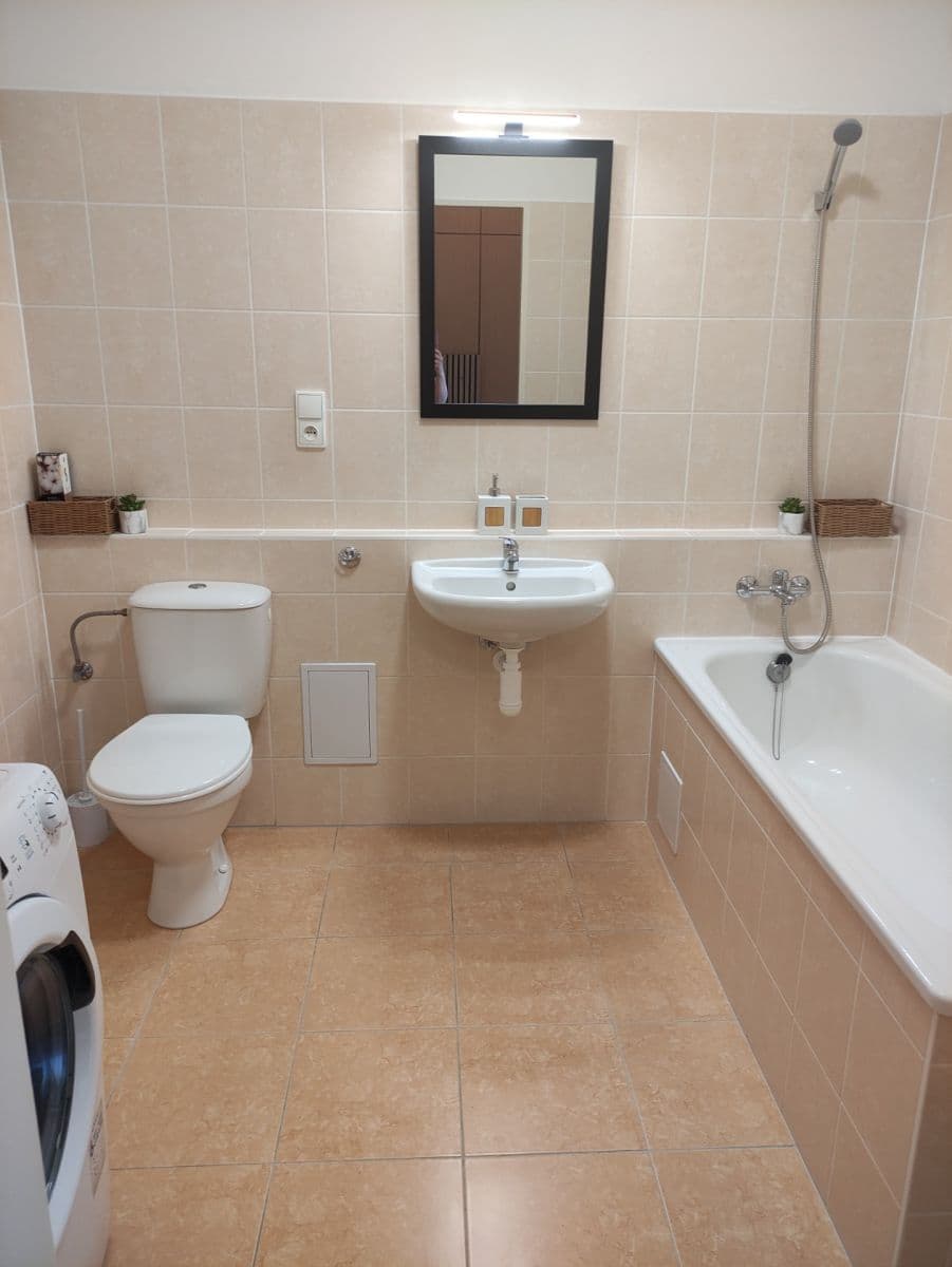 1 bedroom with open-plan kitchen flat to rent, 50 m², Za kostelem, Brno, Jihomoravský Region 1 bedroom with open-plan kitchen flat to rent, 50 m², Za kostelem, Brno, Jihomoravský Region