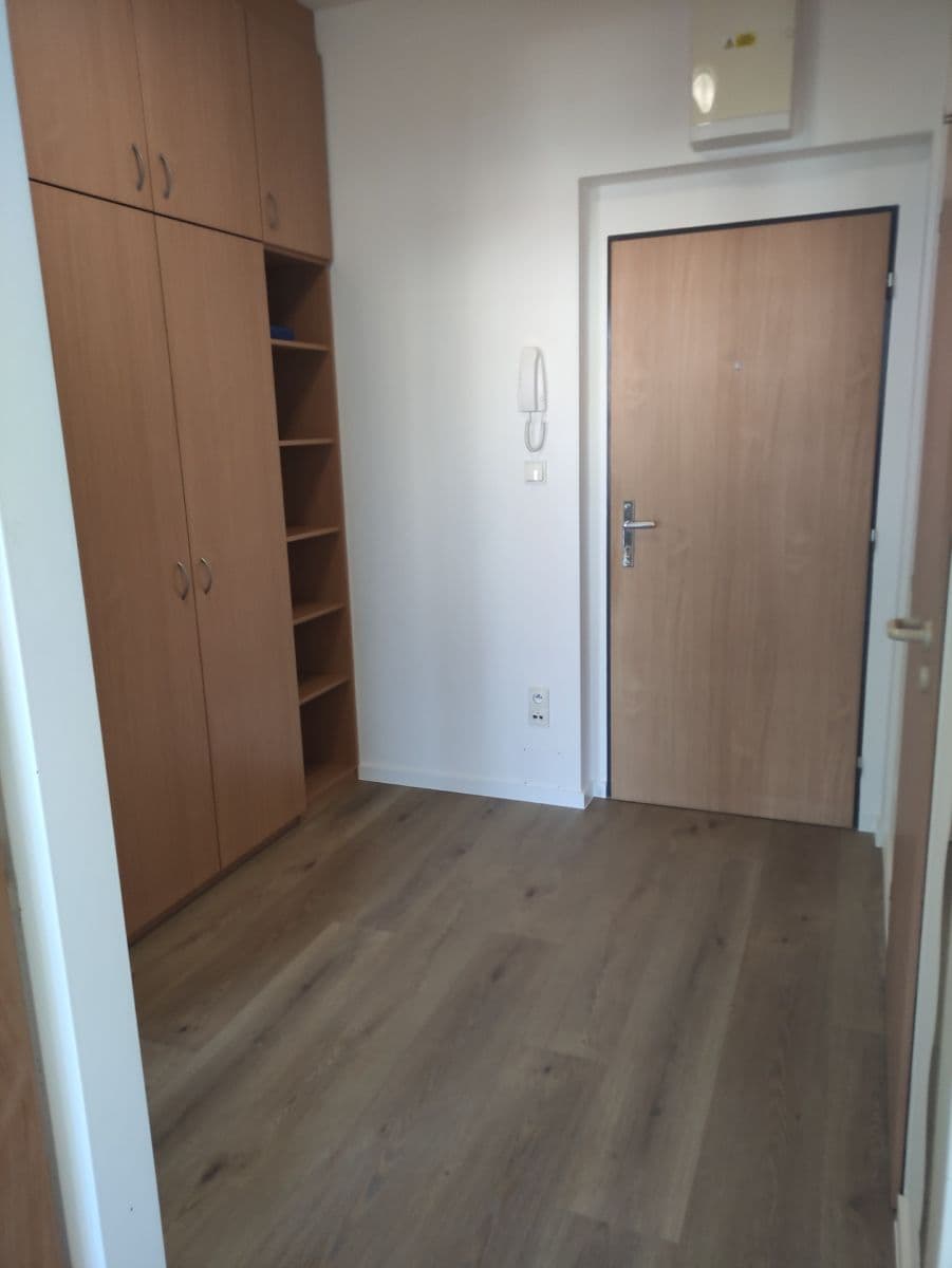 1 bedroom with open-plan kitchen flat to rent, 50 m², Za kostelem, Brno, Jihomoravský Region 1 bedroom with open-plan kitchen flat to rent, 50 m², Za kostelem, Brno, Jihomoravský Region