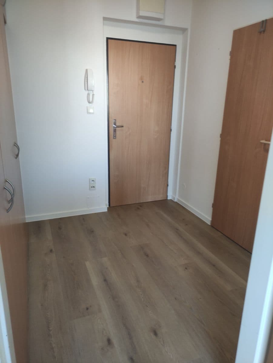 1 bedroom with open-plan kitchen flat to rent, 50 m², Za kostelem, Brno, Jihomoravský Region 1 bedroom with open-plan kitchen flat to rent, 50 m², Za kostelem, Brno, Jihomoravský Region