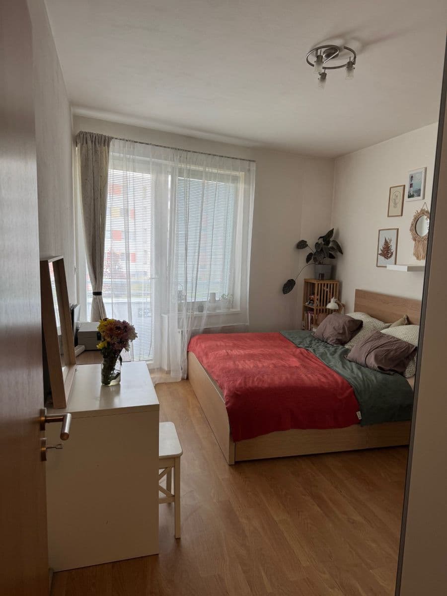 1 bedroom with open-plan kitchen flat to rent, 60 m², Míšovická, Prague, Prague 1 bedroom with open-plan kitchen flat to rent, 60 m², Míšovická, Prague, Prague