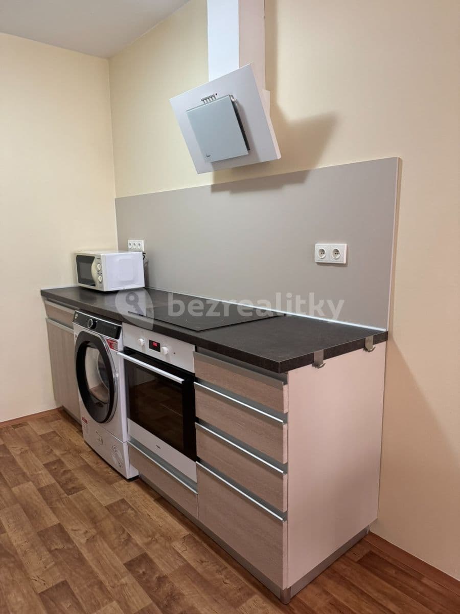 1 bedroom with open-plan kitchen flat to rent, 43 m², Mohylová, Prague, Prague 1 bedroom with open-plan kitchen flat to rent, 43 m², Mohylová, Prague, Prague