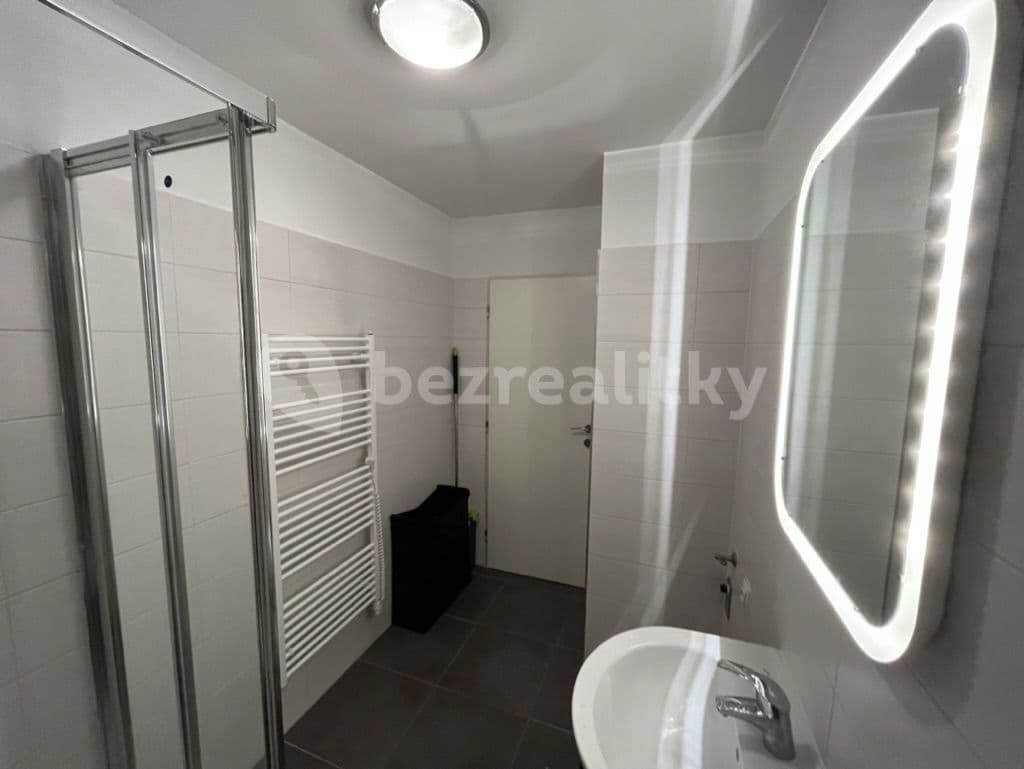 2 bedroom with open-plan kitchen flat to rent, 61 m², U Nikolajky, Prague, Prague