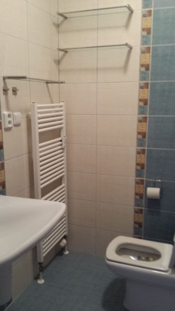 Studio flat to rent, 47 m², Petržílkova, Prague, Prague Studio flat to rent, 47 m², Petržílkova, Prague, Prague