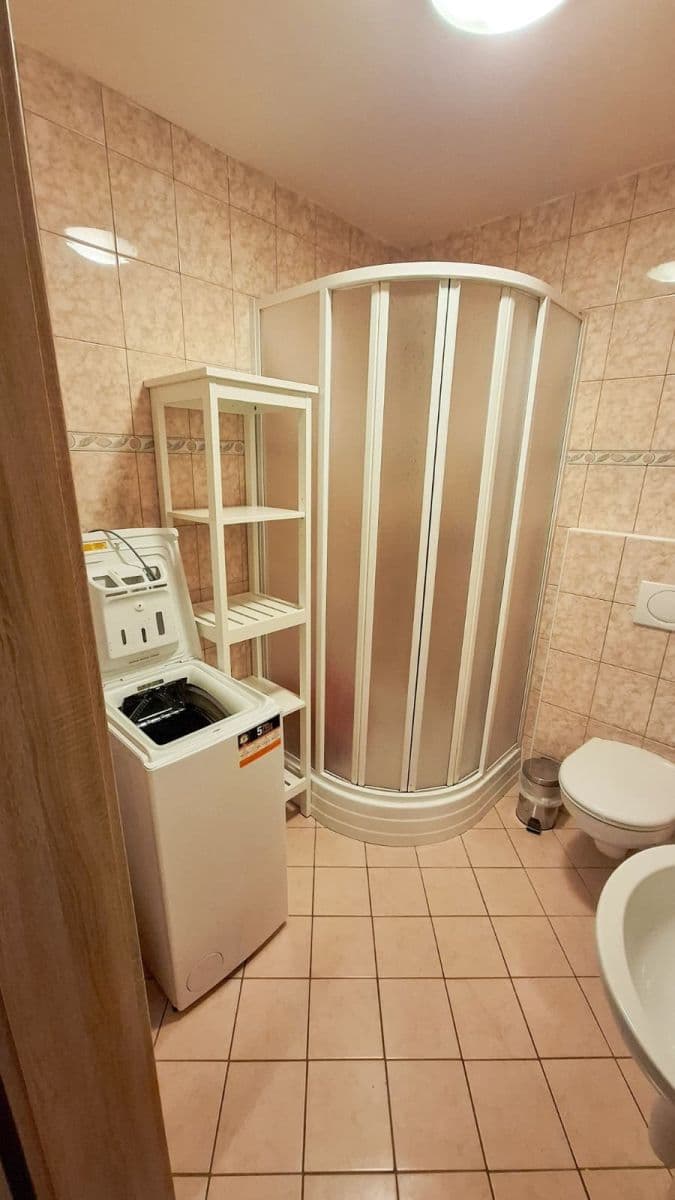 Studio flat to rent, 42 m², Jednostranná, Prague, Prague Studio flat to rent, 42 m², Jednostranná, Prague, Prague