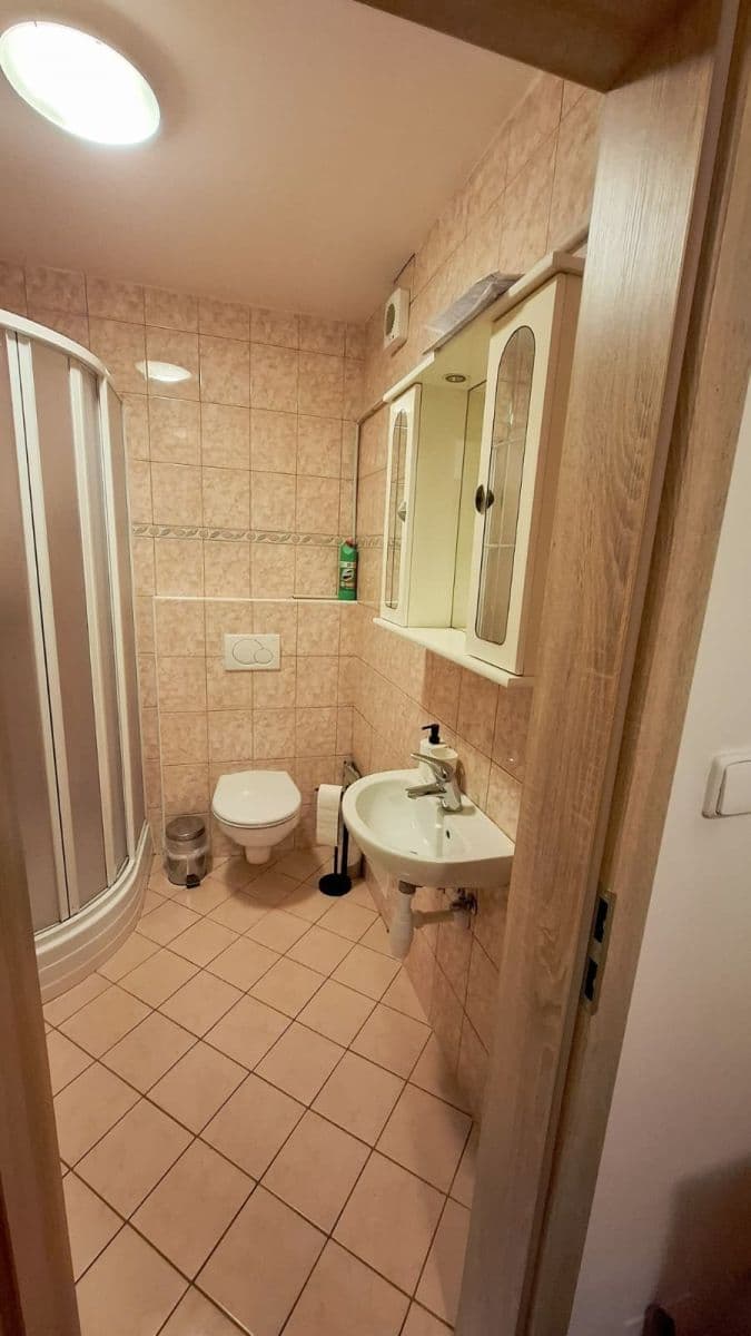 Studio flat to rent, 42 m², Jednostranná, Prague, Prague Studio flat to rent, 42 m², Jednostranná, Prague, Prague