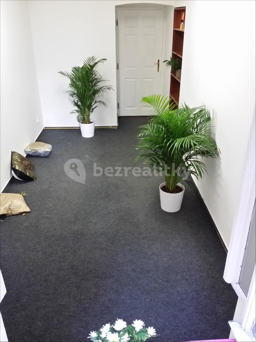 non-residential property to rent, 180 m², Žitomírská, Prague, Prague non-residential property to rent, 180 m², Žitomírská, Prague, Prague