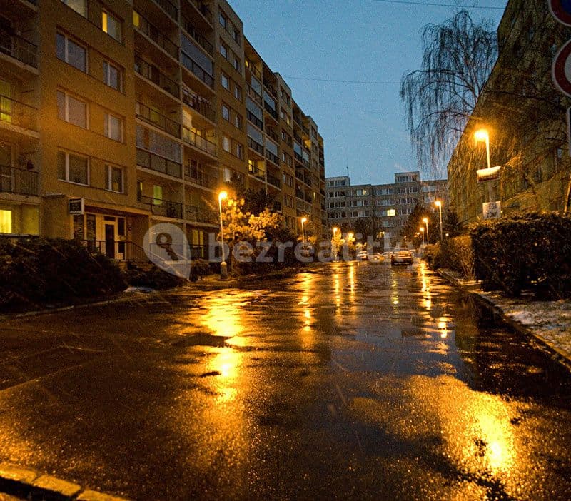 1 bedroom with open-plan kitchen flat to rent, 44 m², Na Rovnosti, Prague, Prague 1 bedroom with open-plan kitchen flat to rent, 44 m², Na Rovnosti, Prague, Prague