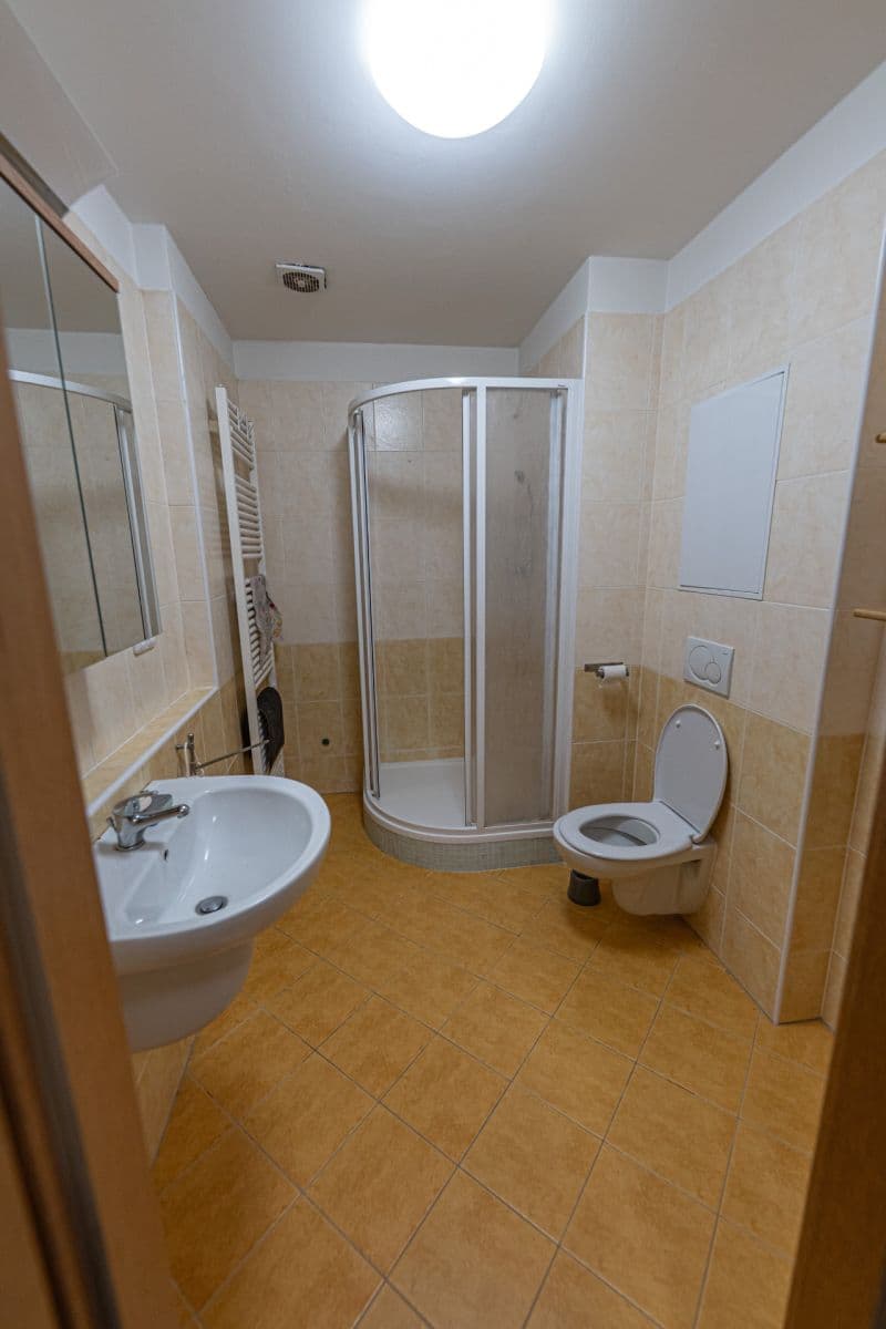 1 bedroom with open-plan kitchen flat to rent, 58 m², Nové náměstí, Prague, Prague 1 bedroom with open-plan kitchen flat to rent, 58 m², Nové náměstí, Prague, Prague