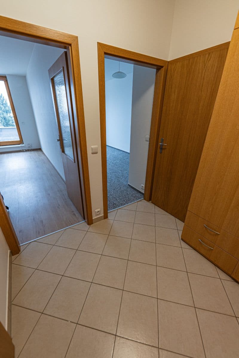 1 bedroom with open-plan kitchen flat to rent, 58 m², Nové náměstí, Prague, Prague 1 bedroom with open-plan kitchen flat to rent, 58 m², Nové náměstí, Prague, Prague