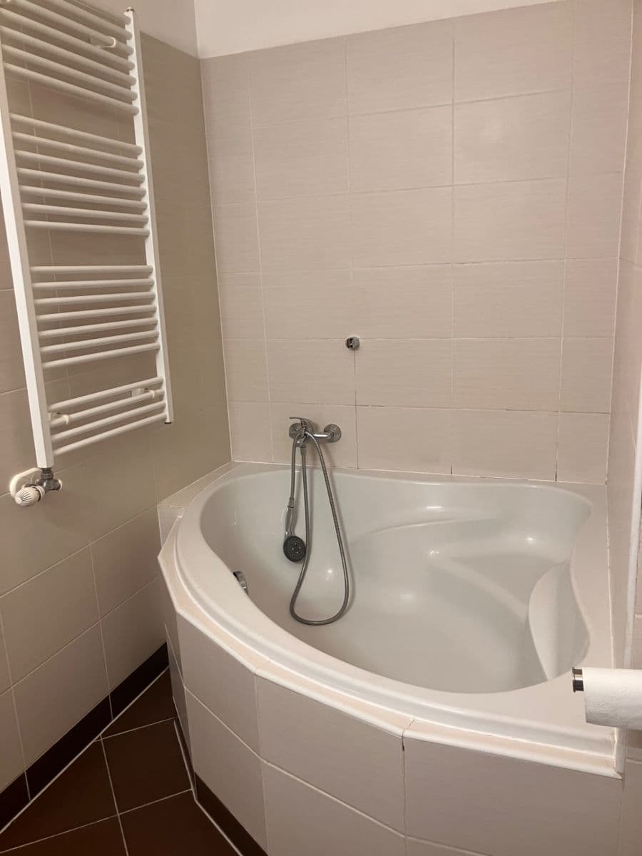 1 bedroom with open-plan kitchen flat to rent, 47 m², Karla Kryla, Prague, Prague 1 bedroom with open-plan kitchen flat to rent, 47 m², Karla Kryla, Prague, Prague